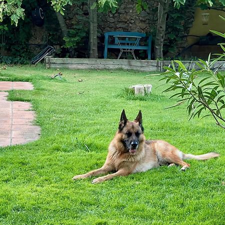 Villa Santa Caterina - Dog Friendly With Garden Sobrestany Exterior foto