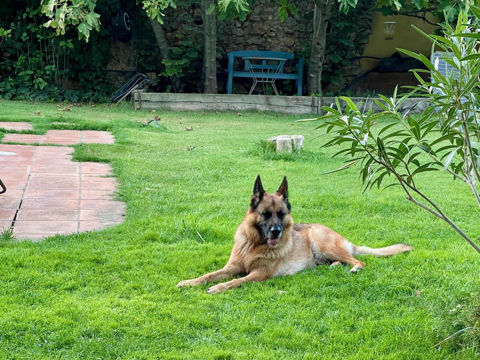 Villa Santa Caterina - Dog Friendly With Garden Sobrestany Exterior foto